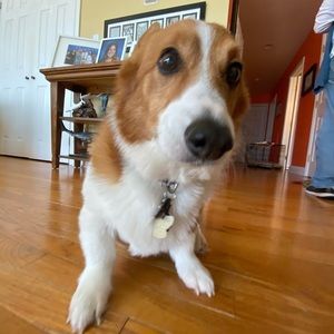 Meet your Posher, Brady